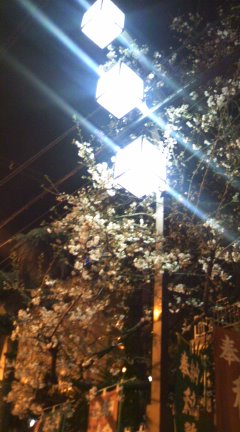 090330_0038~01.jpg