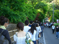 CIMG3684.jpg